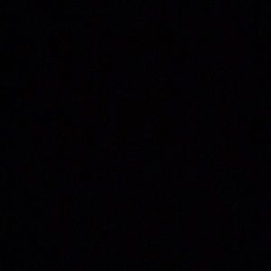 Meet your Posher, Wyatt